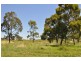Wellcamp QLD 4350