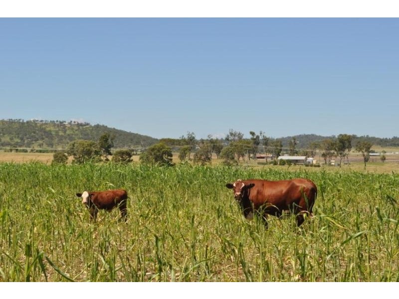 Wellcamp QLD 4350