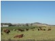 Wellcamp QLD 4350