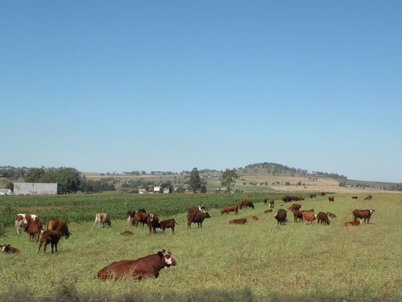 Wellcamp QLD 4350