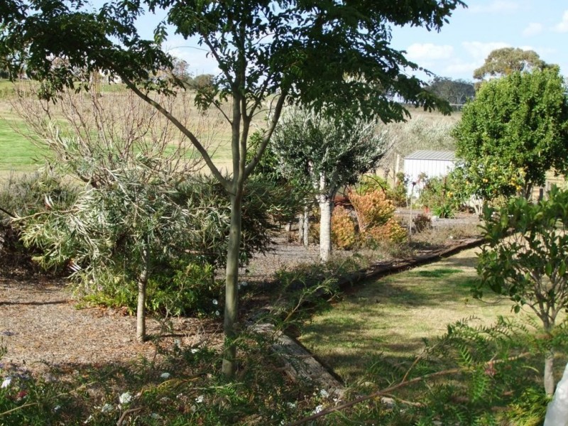 15 Hillcrest Rd, Haden QLD 4353