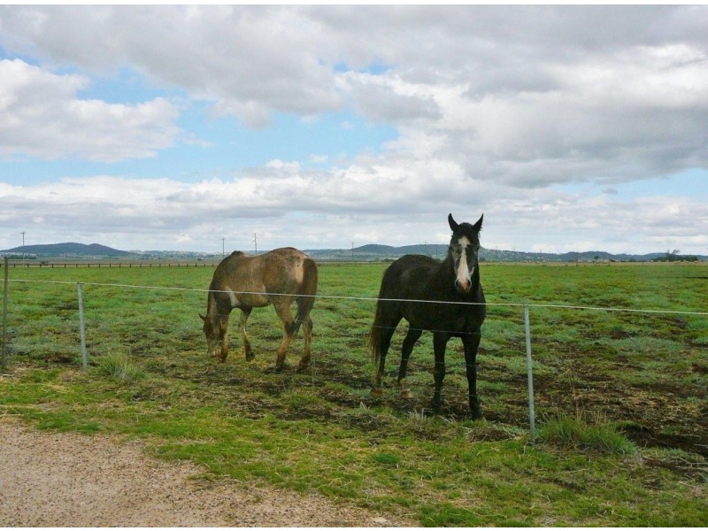 295 Umbiram Road, Wyreema QLD 4352