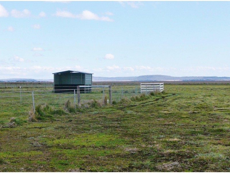 295 Umbiram Road, Wyreema QLD 4352