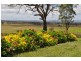 Pittsworth QLD 4356
