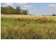 Pittsworth QLD 4356