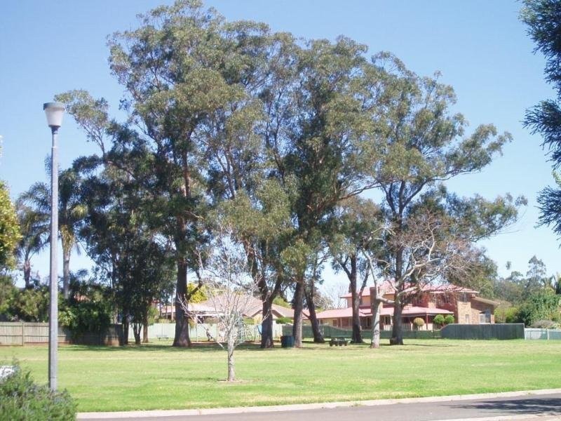 15 Wiangaree Drive, Rangeville QLD 4350