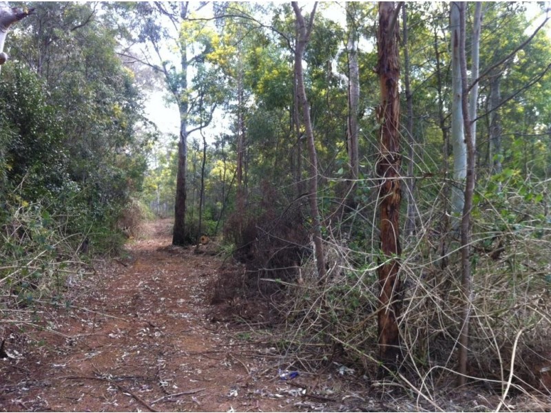 Lot 399 Hampton Road, Hampton QLD 4352