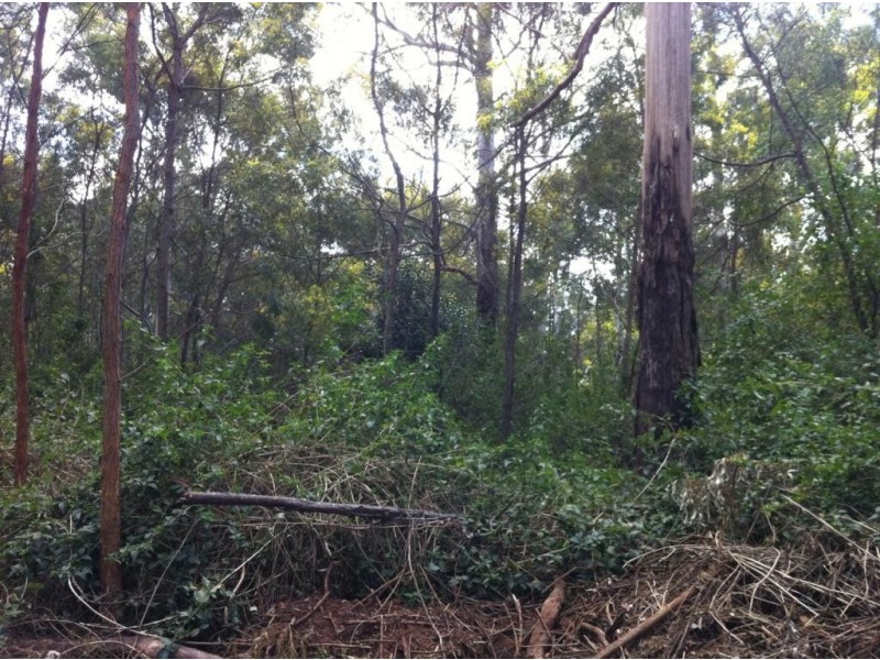 Lot 399 Hampton Road, Hampton QLD 4352