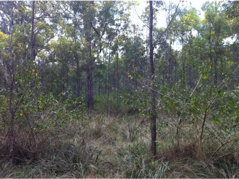 Lot 399 Hampton Road, Hampton QLD 4352