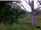 Gatton QLD 4343