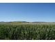 Hodgson Vale QLD 4352