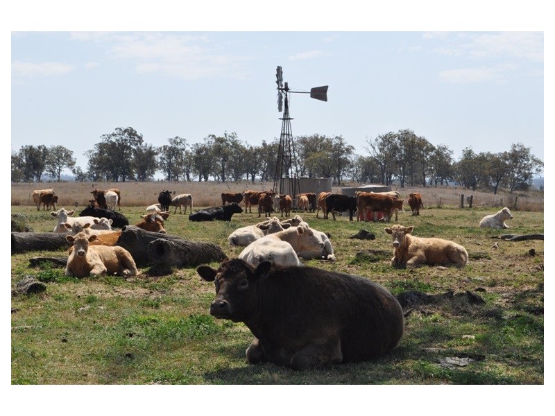 Willerren Wyreema Athol Road, Wyreema QLD 4352