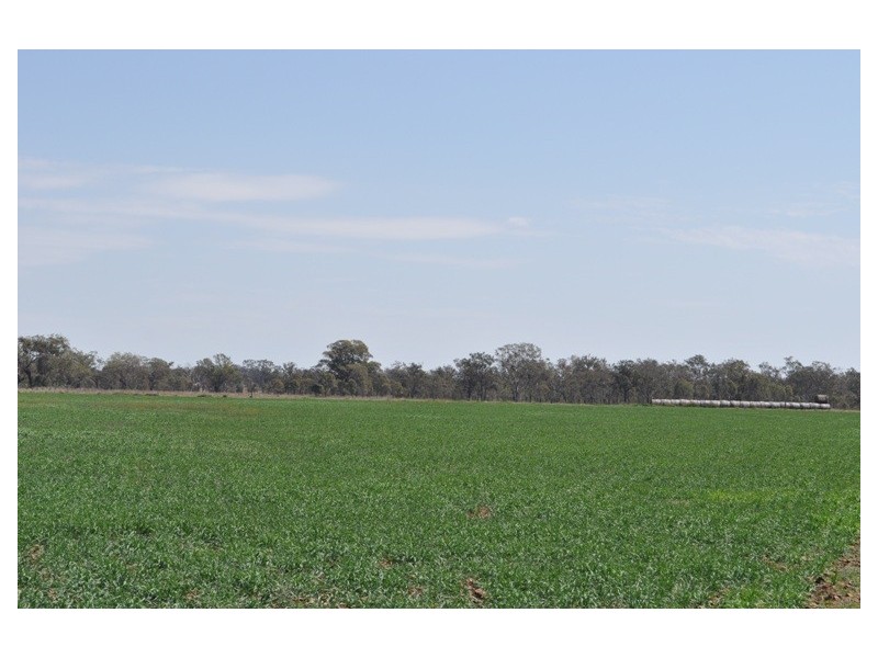 Willerren Wyreema Athol Road, Wyreema QLD 4352