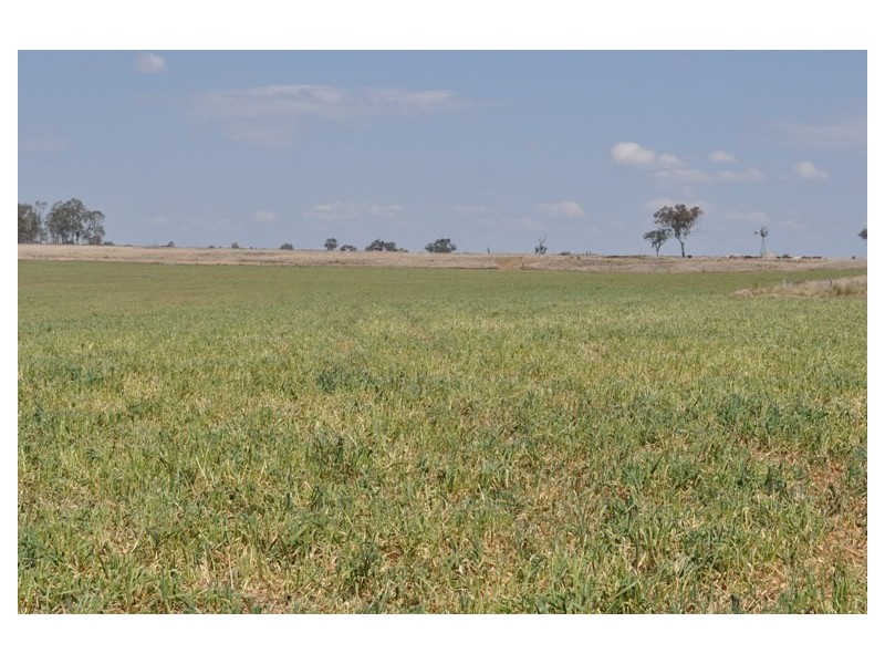 Willerren Wyreema Athol Road, Wyreema QLD 4352