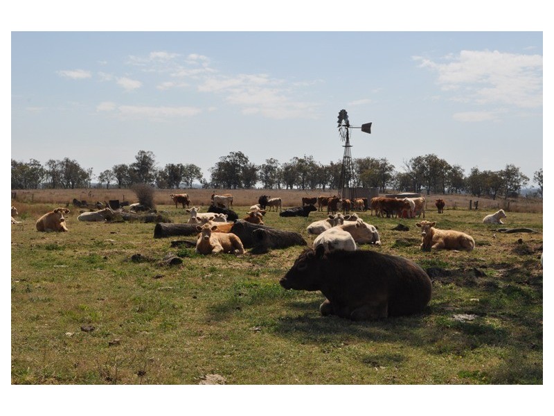 Willerren Wyreema Athol Road, Wyreema QLD 4352