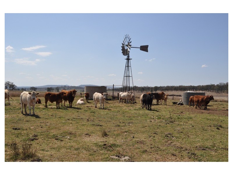 Willerren Wyreema Athol Road, Wyreema QLD 4352