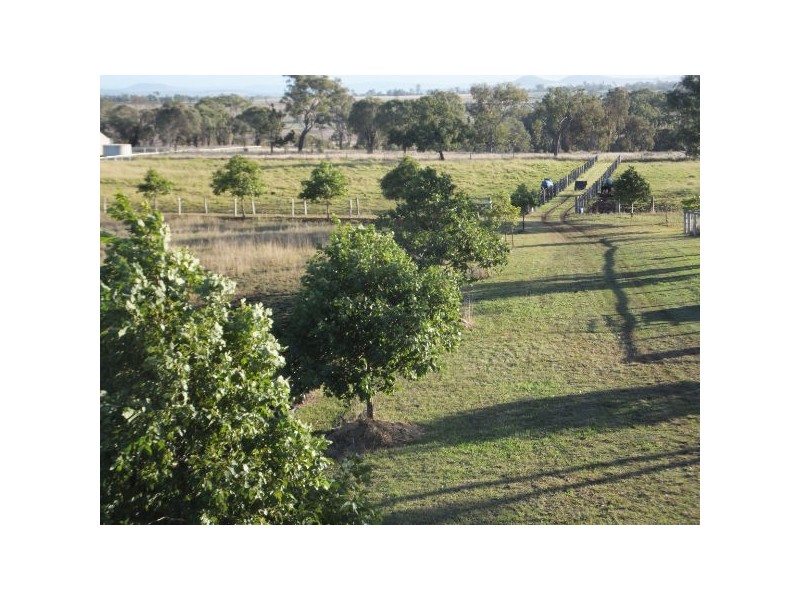 207 Jonel Park Road, Allora QLD 4362