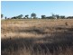 207 Jonel Park Road, Allora QLD 4362