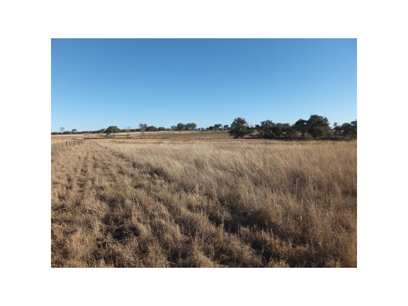 207 Jonel Park Road, Allora QLD 4362