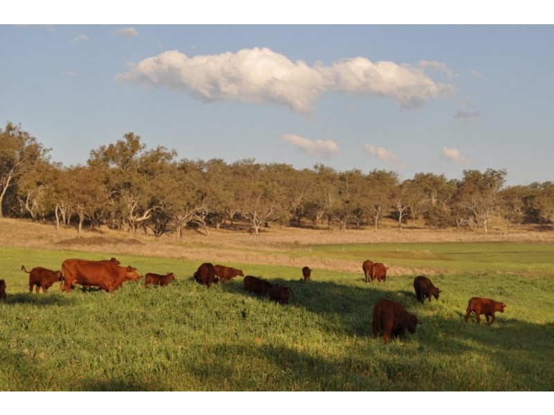 1354 Pittsworth Felton Road, Felton QLD 4358