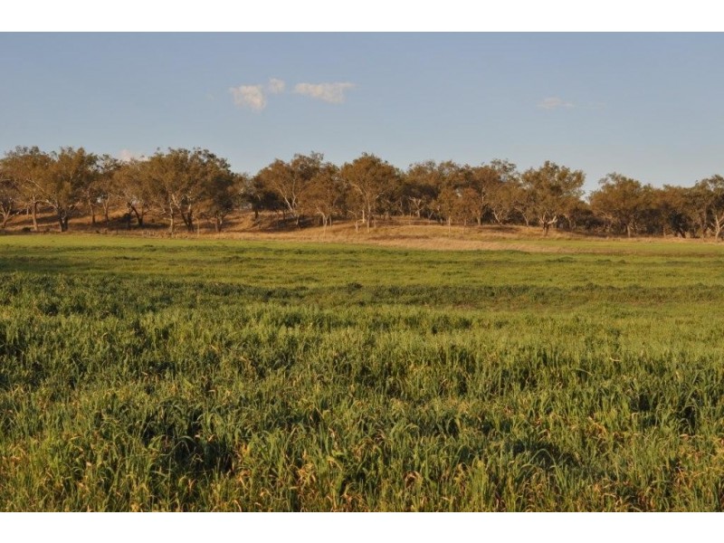 1354 Pittsworth Felton Road, Felton QLD 4358