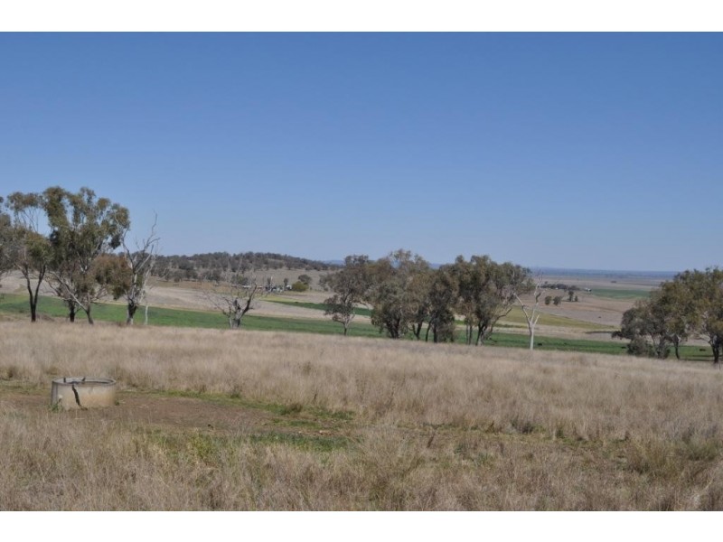 1354 Pittsworth Felton Road, Felton QLD 4358