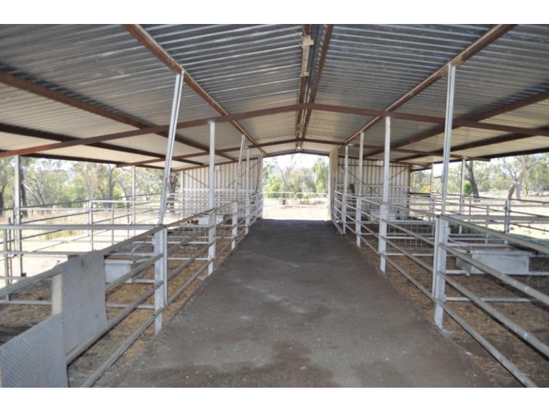 1354 Pittsworth Felton Road, Felton QLD 4358