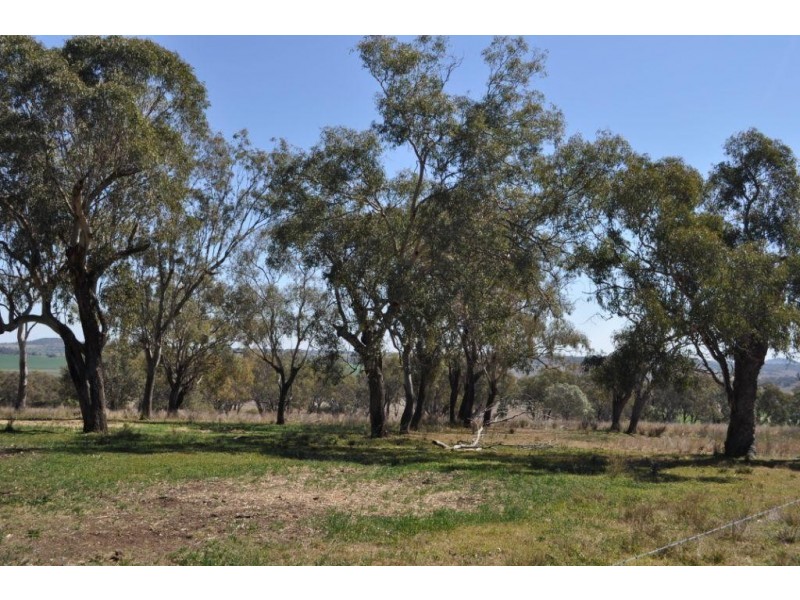 1354 Pittsworth Felton Road, Felton QLD 4358