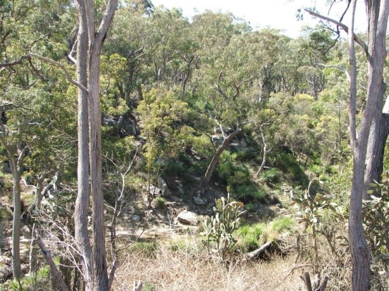 14a Esk Street, Crows Nest QLD 4355