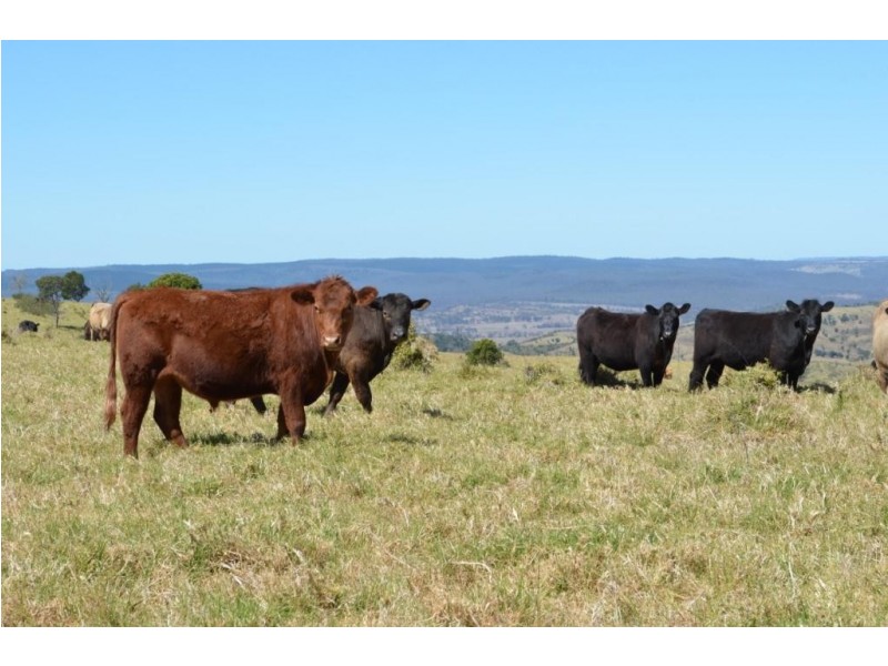 Yarrawonga Hobbs Road, Yarraman QLD 4614
