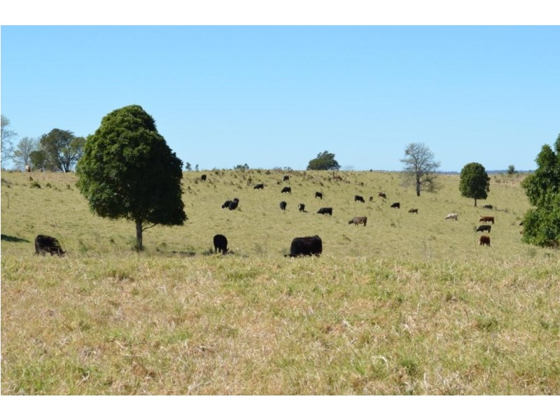 Yarrawonga Hobbs Road, Yarraman QLD 4614