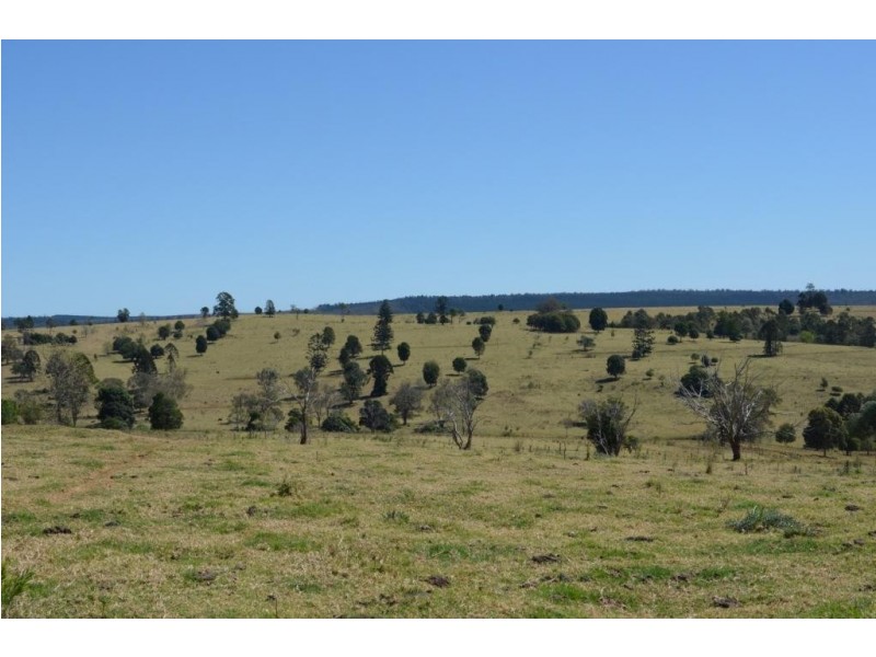 Yarrawonga Hobbs Road, Yarraman QLD 4614