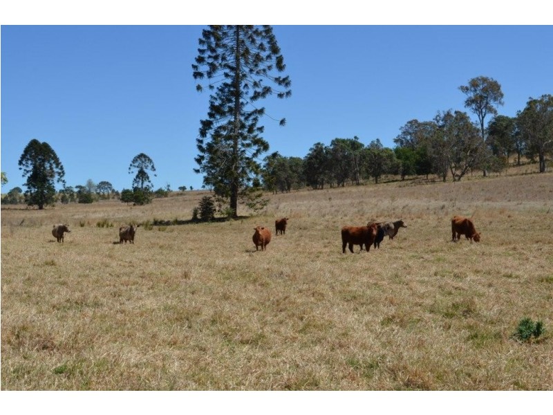 Yarrawonga Hobbs Road, Yarraman QLD 4614