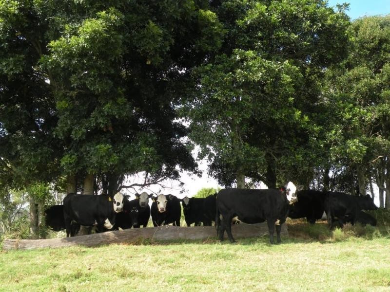 Groomsville QLD 4352