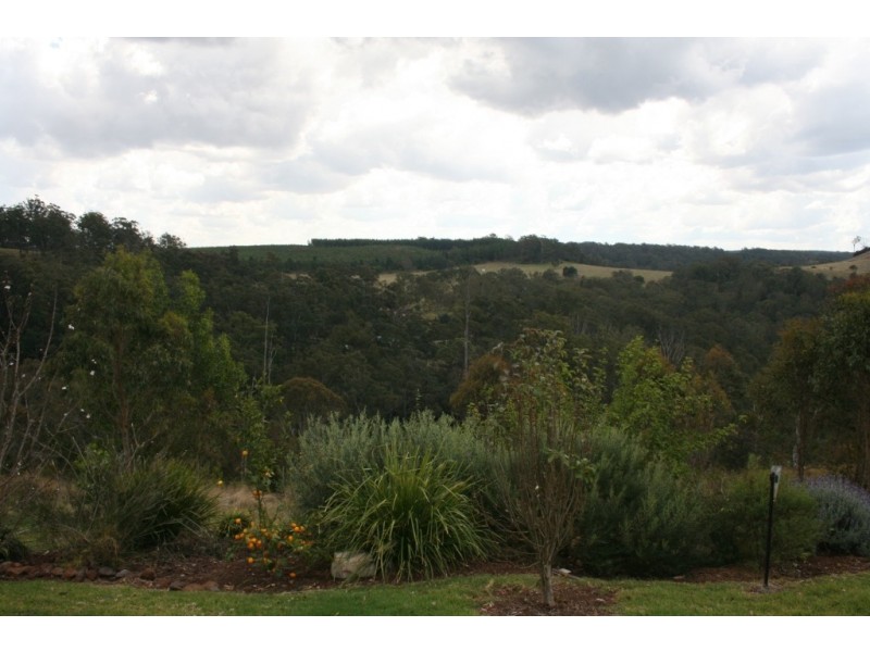 86 Forest Drive, Hampton QLD 4352