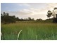 Murphys Creek QLD 4352