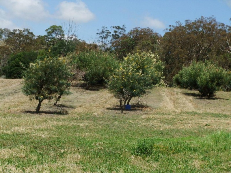 42 Austin Road, Crows Nest QLD 4355