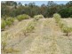 42 Austin Road, Crows Nest QLD 4355