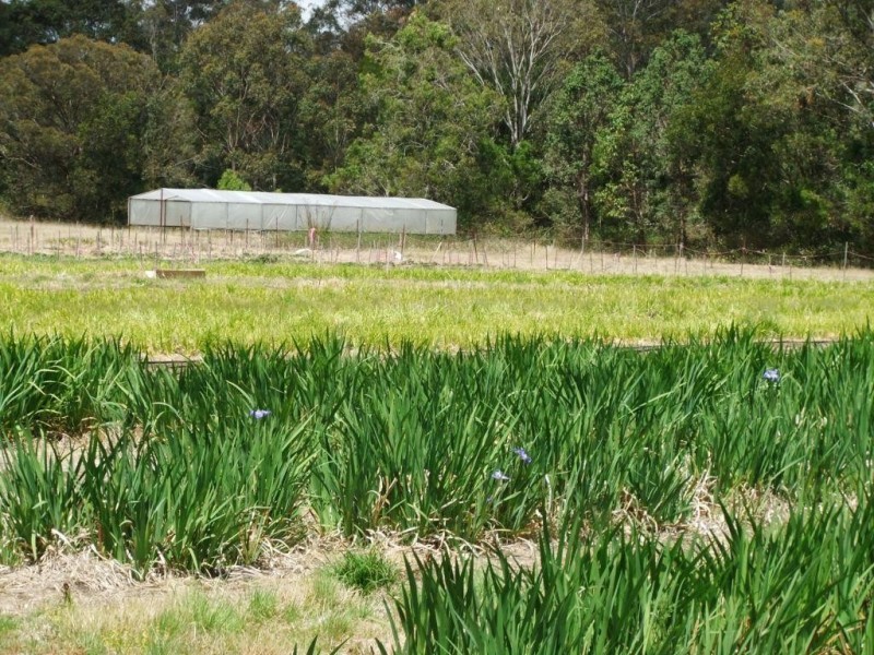 42 Austin Road, Crows Nest QLD 4355