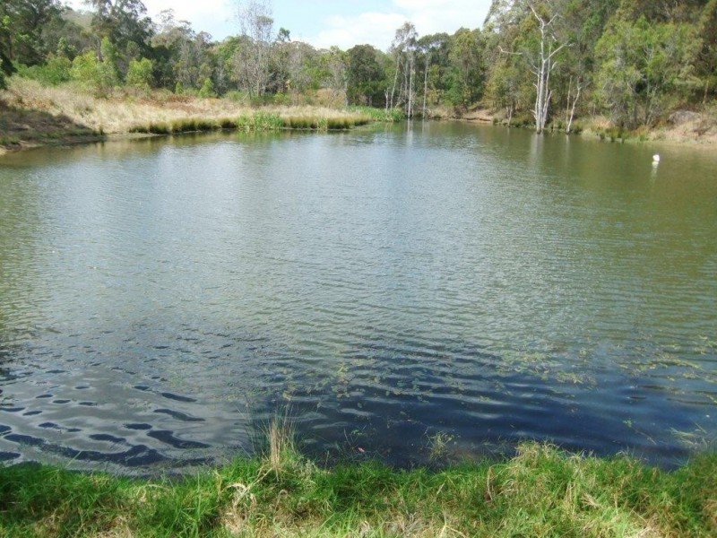 42 Austin Road, Crows Nest QLD 4355