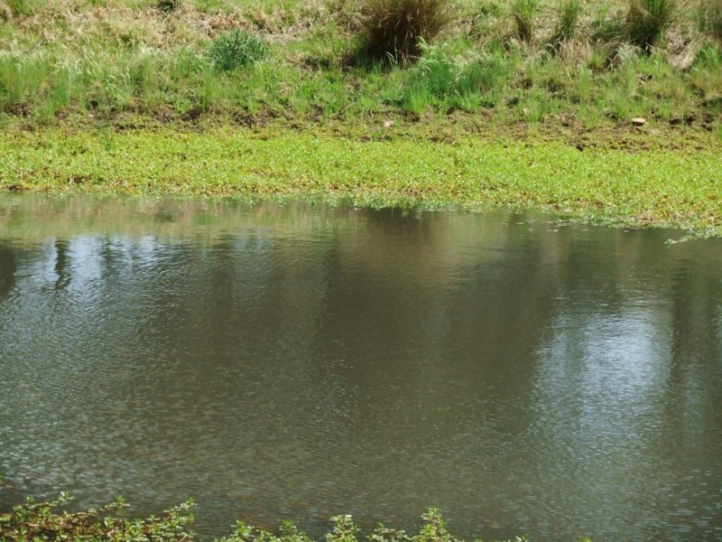 Lot 32 Macdonalds Road, Goombungee QLD 4354