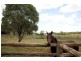 Westbrook QLD 4350