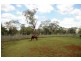 Westbrook QLD 4350