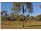 Westbrook QLD 4350
