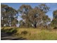 Westbrook QLD 4350