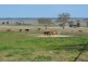 34 Waglands Road, Allora QLD 4362