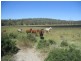 535 Palms Road, Cooyar QLD 4402