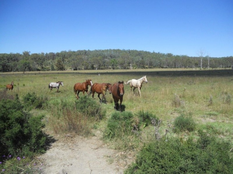 535 Palms Road, Cooyar QLD 4402