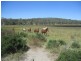 535 Palms Road, Cooyar QLD 4402