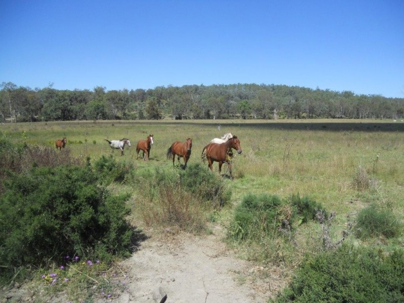 535 Palms Road, Cooyar QLD 4402